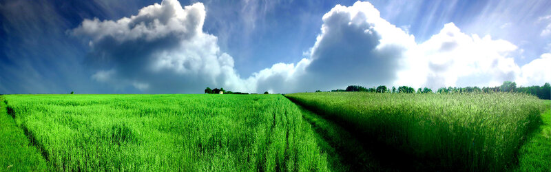 Green Field under Cloudy Sky — Serene, Afternoon, Photograph
