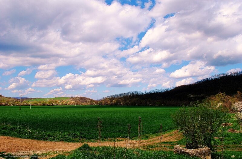 Green Field under Cloudy Sky — Serene, Afternoon