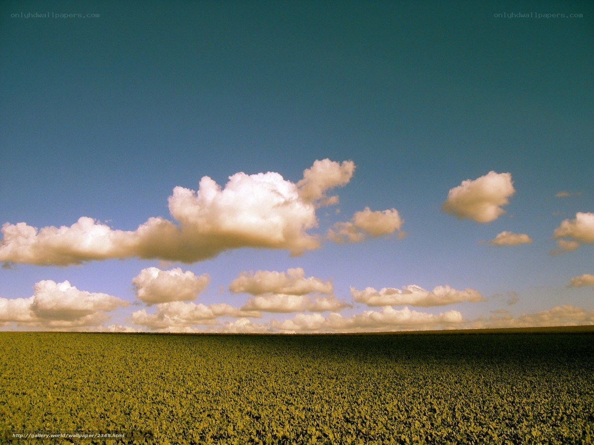 Green field under cloudy sky
