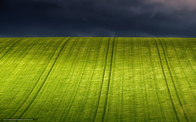 Green Field Under Dark Sky