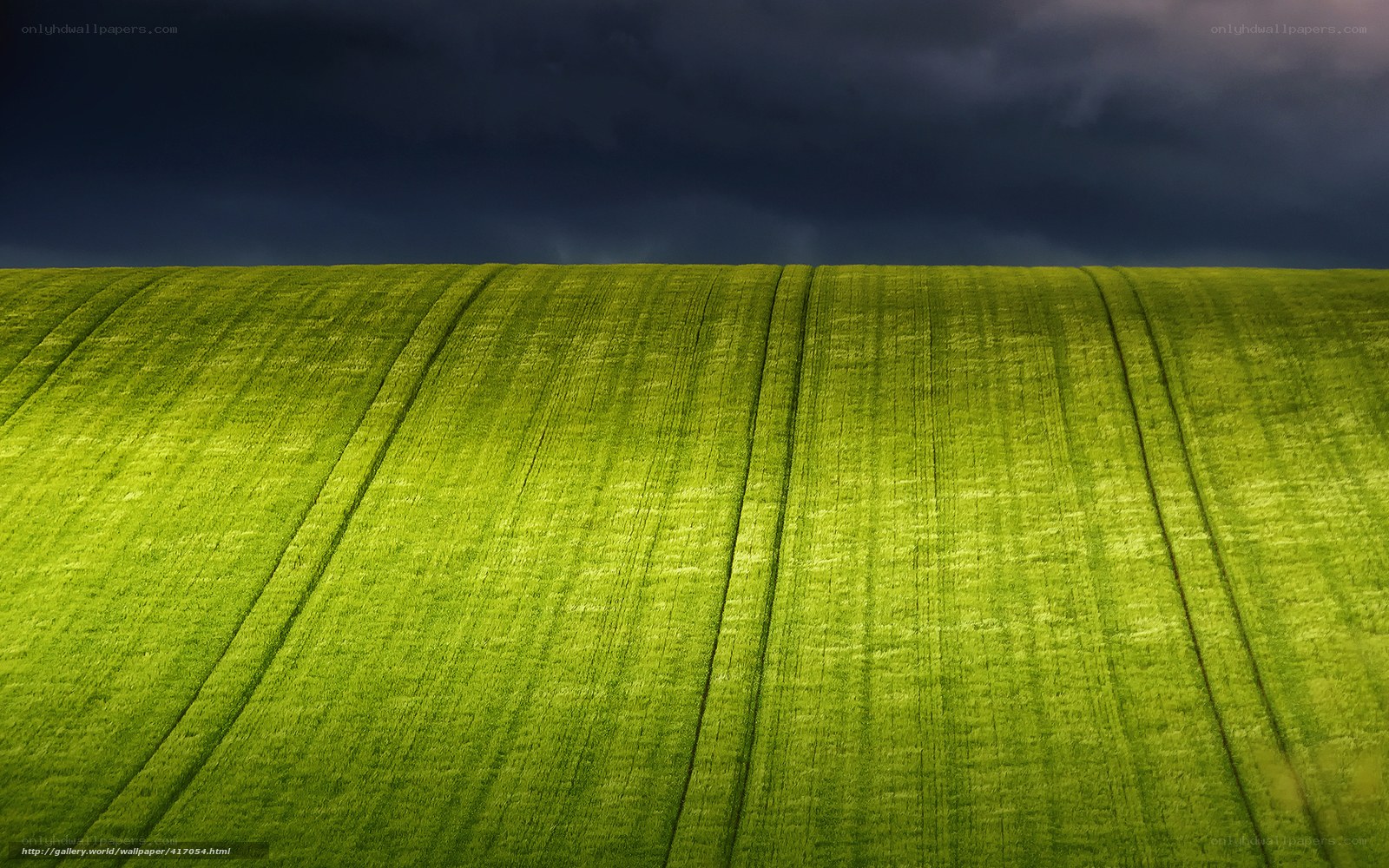 Green Field Under Dark Sky