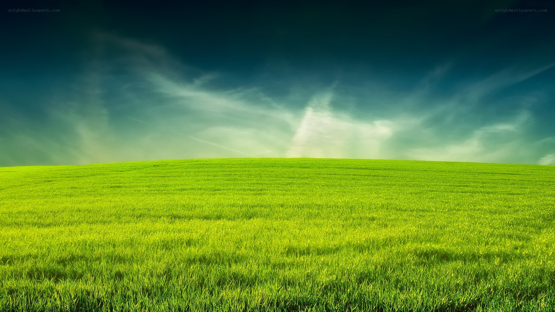 Green field under dramatic sky
