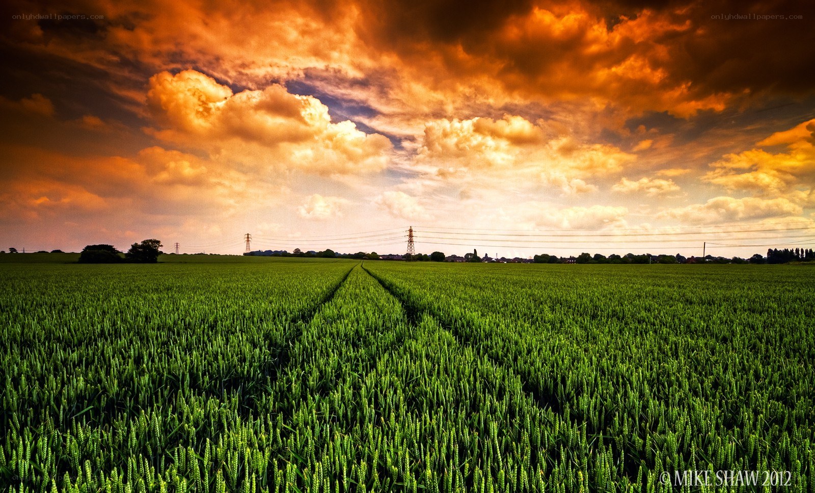 Green field under dramatic sky