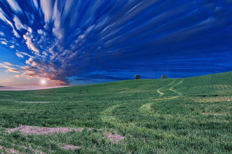 Green field under dramatic sky