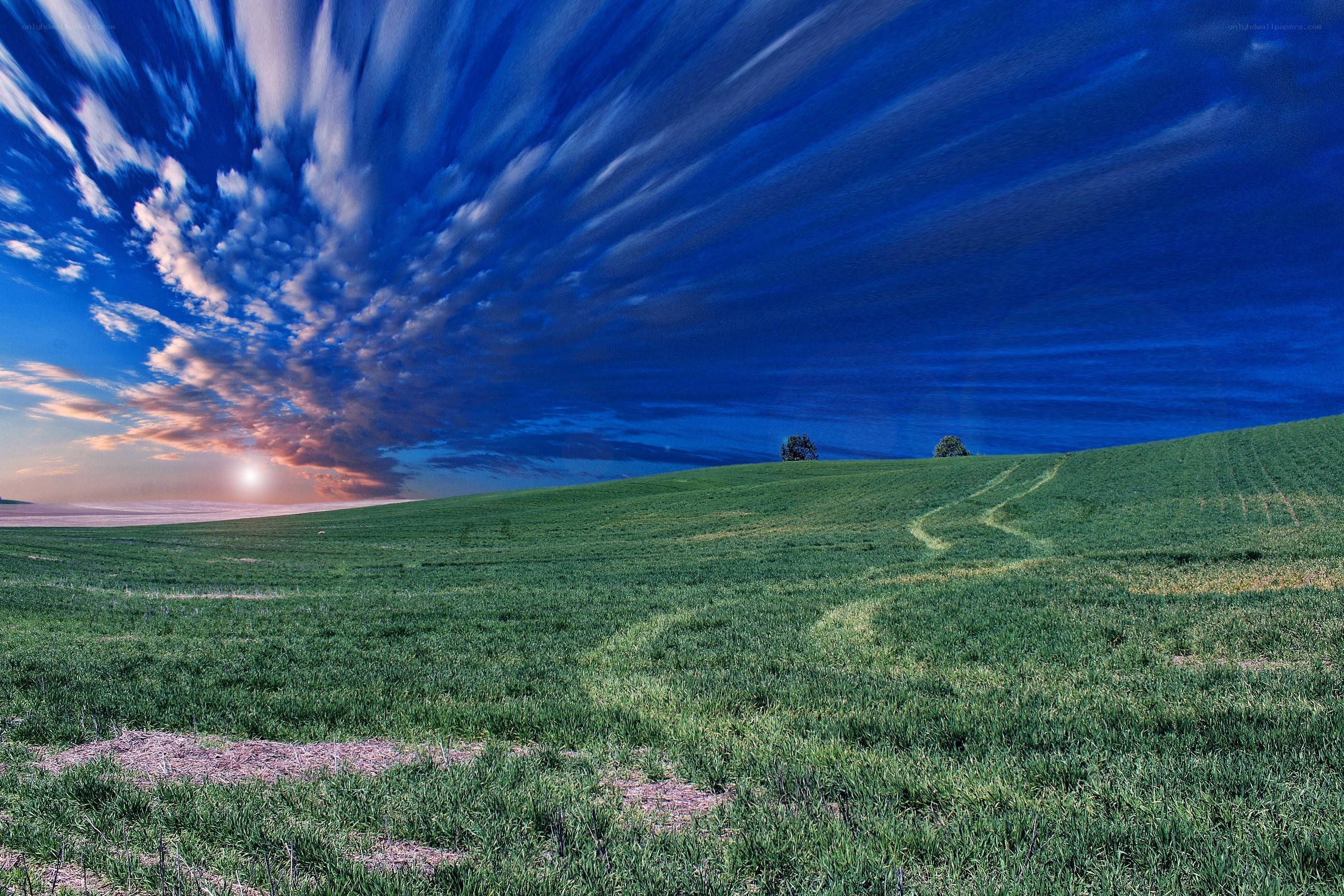Green field under dramatic sky