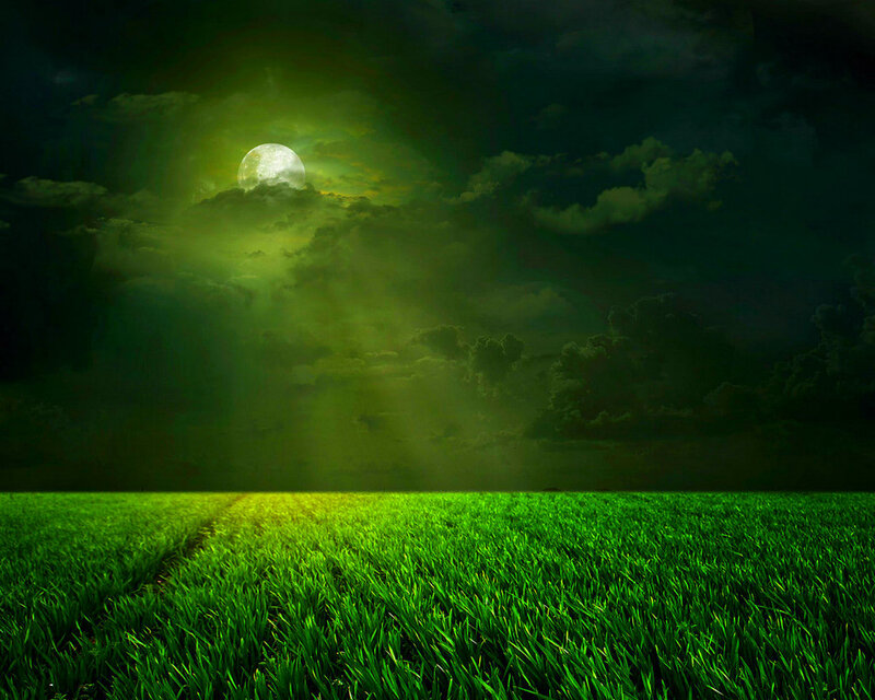 Green Field under Moonlight