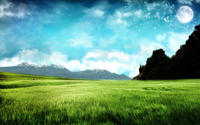 Green field under moonlit sky