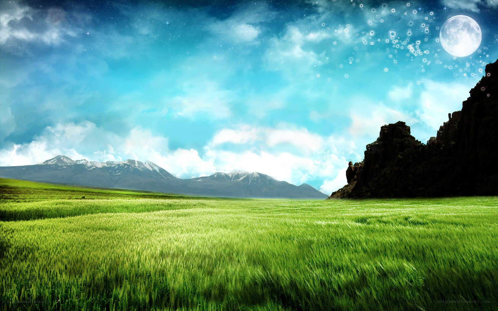 Green field under moonlit sky