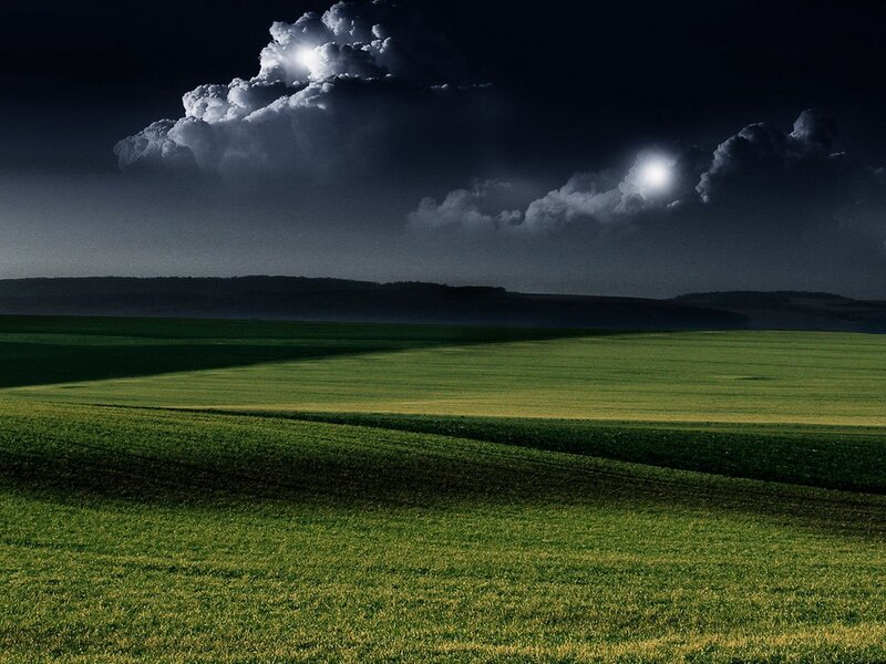 Green Field under Night Sky