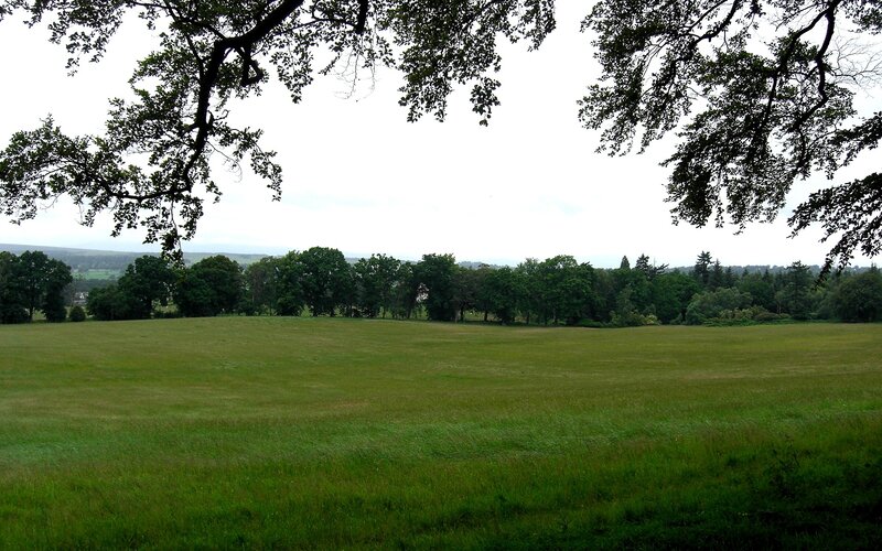 Green field under overcast sky