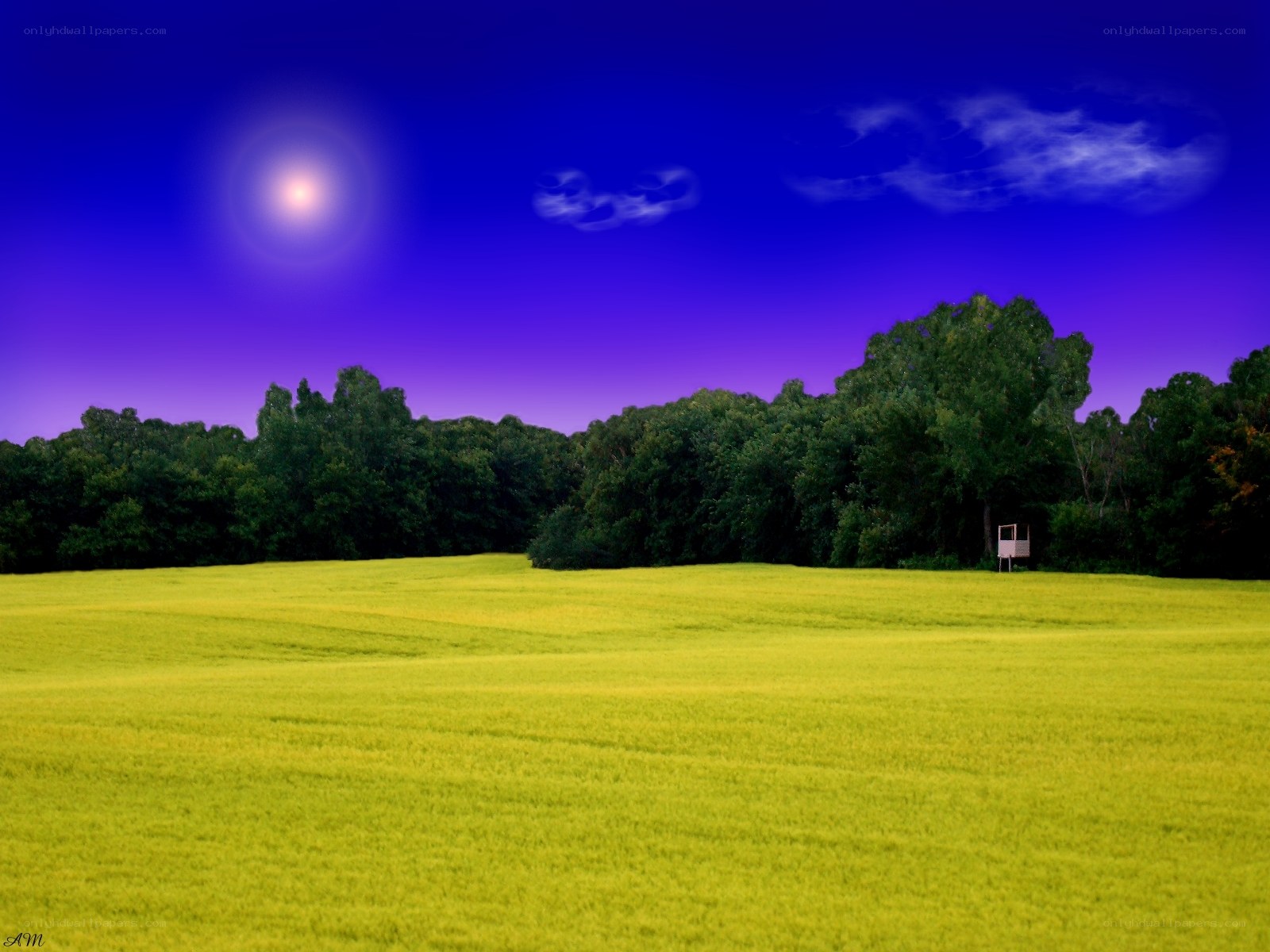 Green field under purple sky