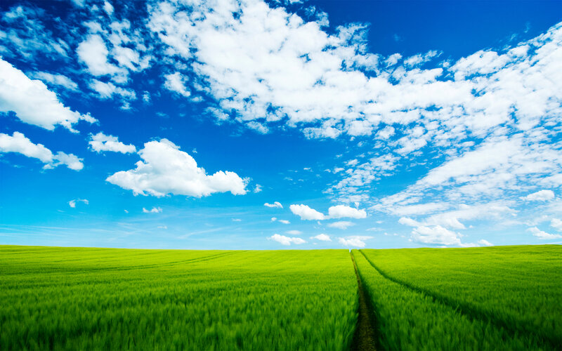 Green Field under Sky — Clouds