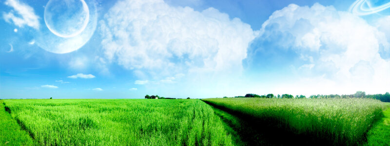 Green Field under Sky — Serene, Afternoon, Digital Art