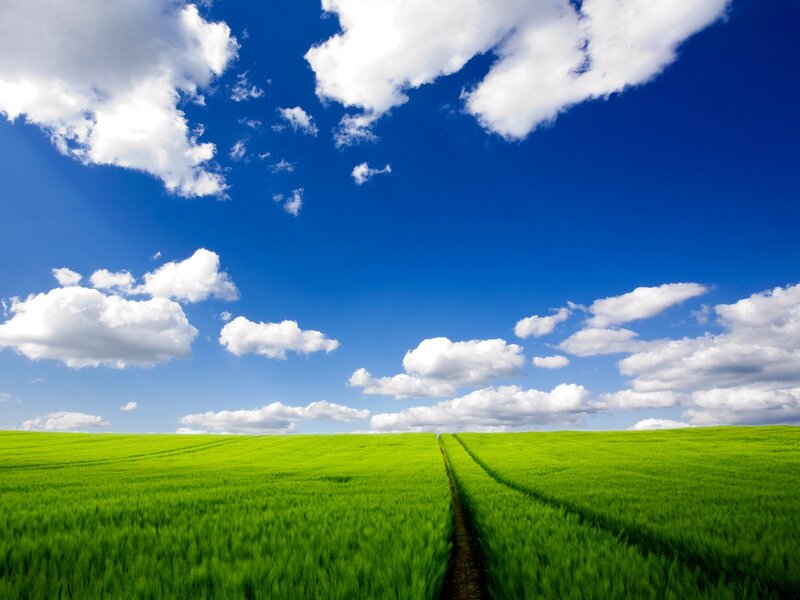 Green Field under Sky — Serene, Afternoon, Photograph, Clouds, Path, Blue, White