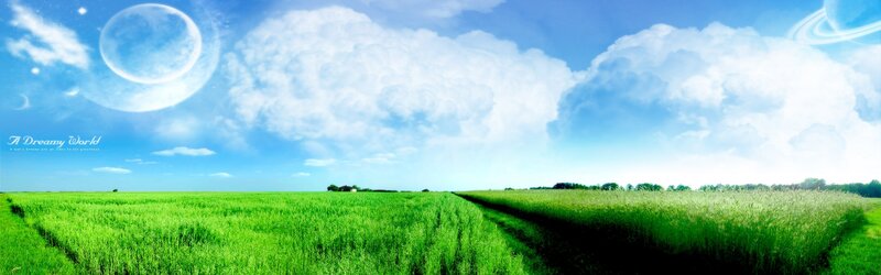 Green Field under Sky — Serene, Morning