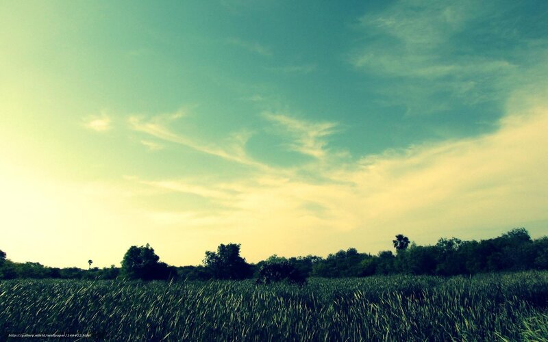 Green Field under Sky — Serene, Sunset, Photograph