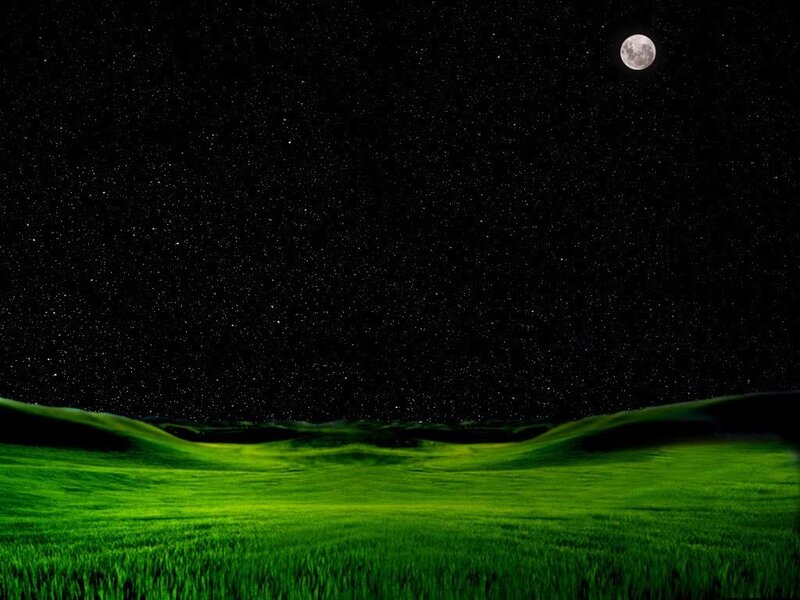 Green field under starry night