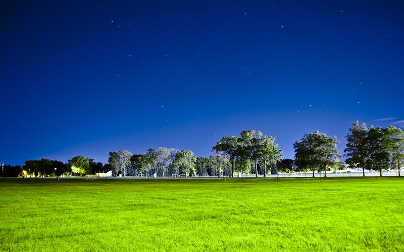 Green Field under Stars