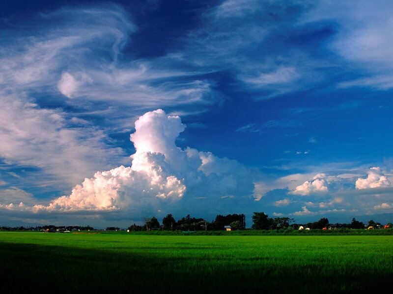 Green field under storm cloud