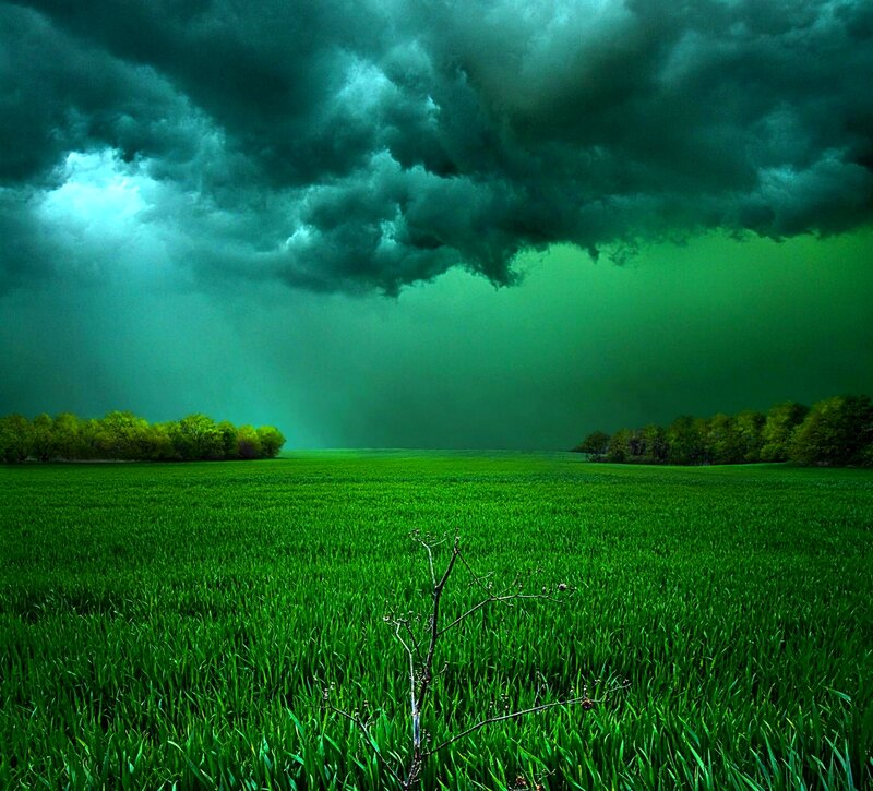 Green Field under Storm Clouds — Dramatic, Afternoon, Photograph, Trees