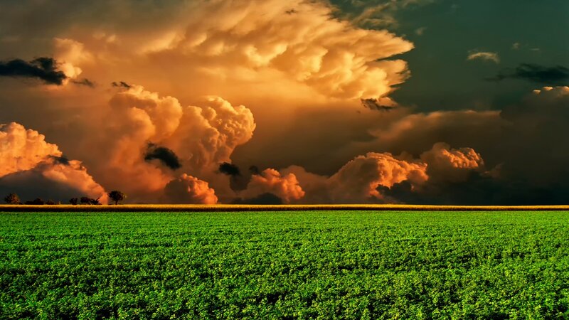 Green Field under Storm Clouds — Dramatic, Sunset, Photograph, Trees
