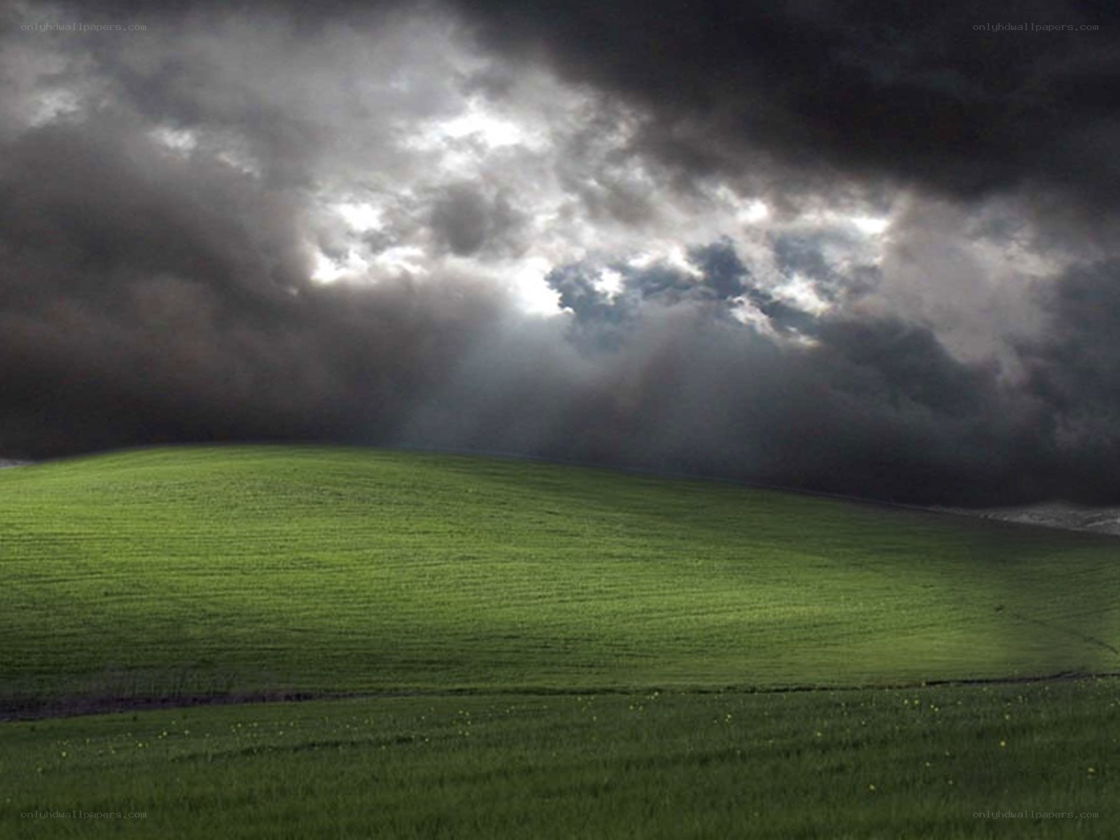 Green field under stormy sky