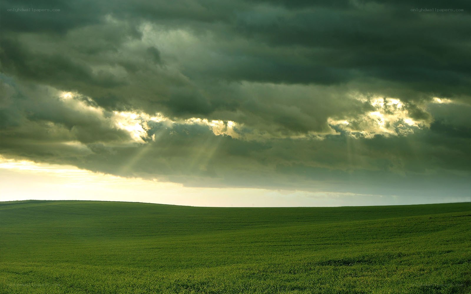 Green field under stormy sky