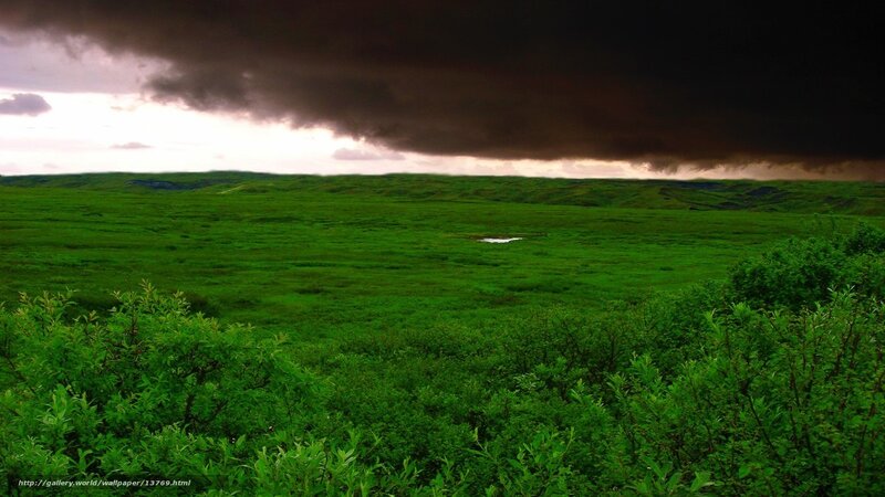 Green field under stormy sky
