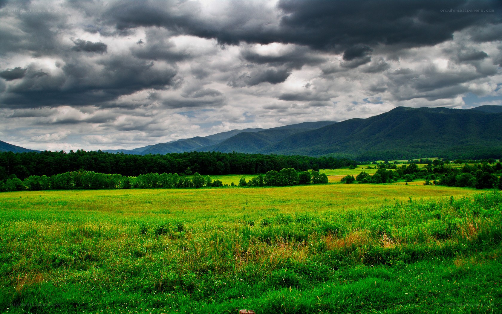 Green field under stormy sky