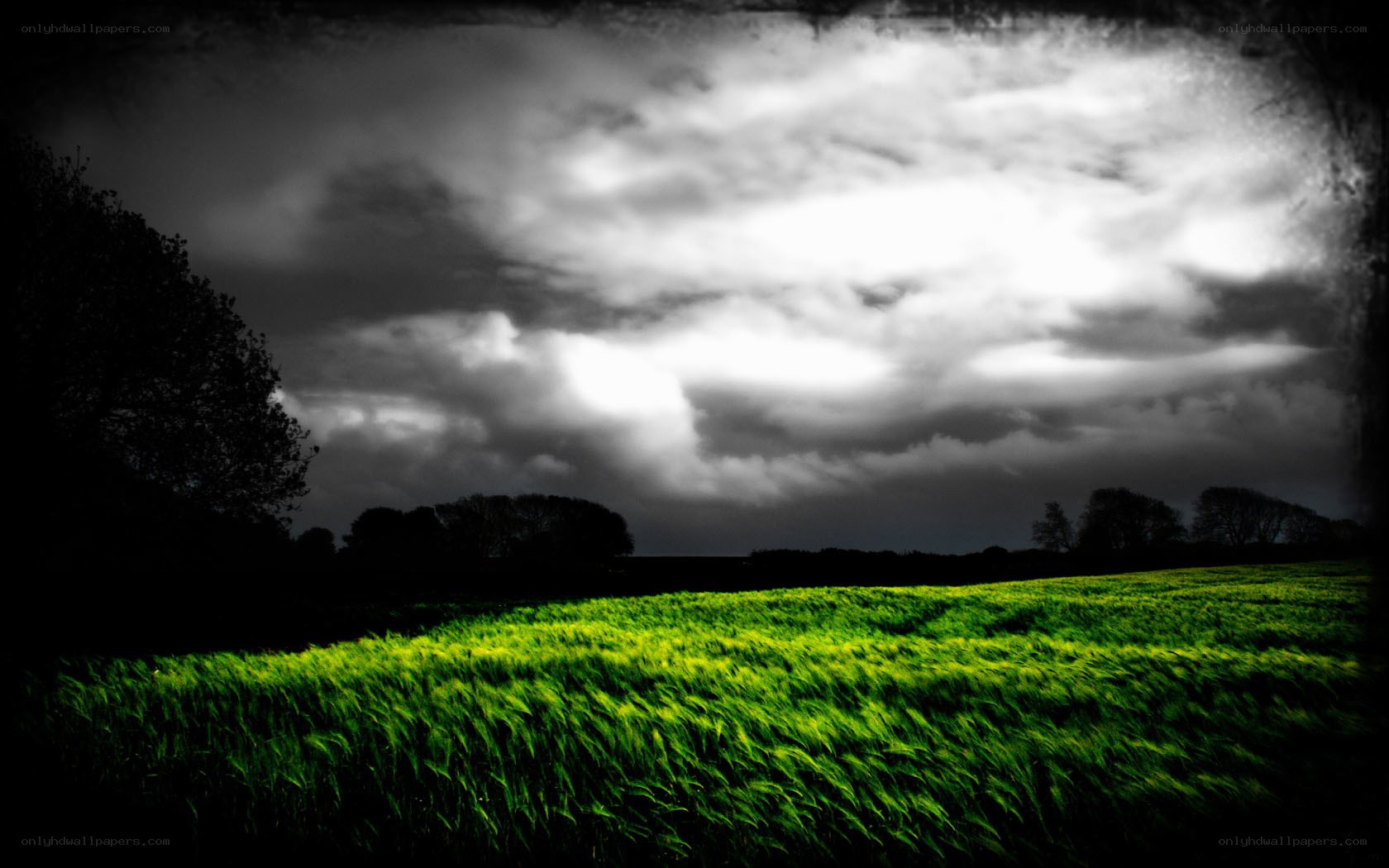 Green Field Under Stormy Sky