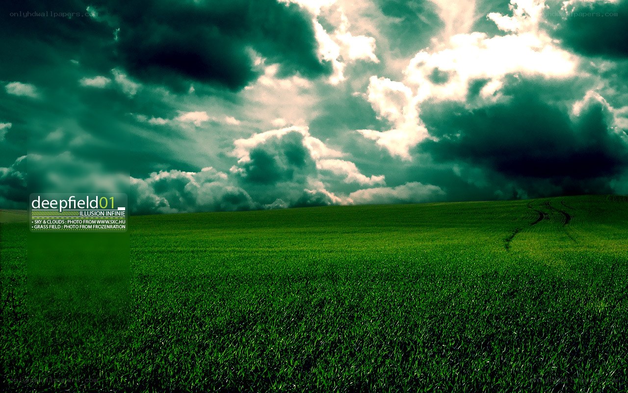 Green field under stormy sky