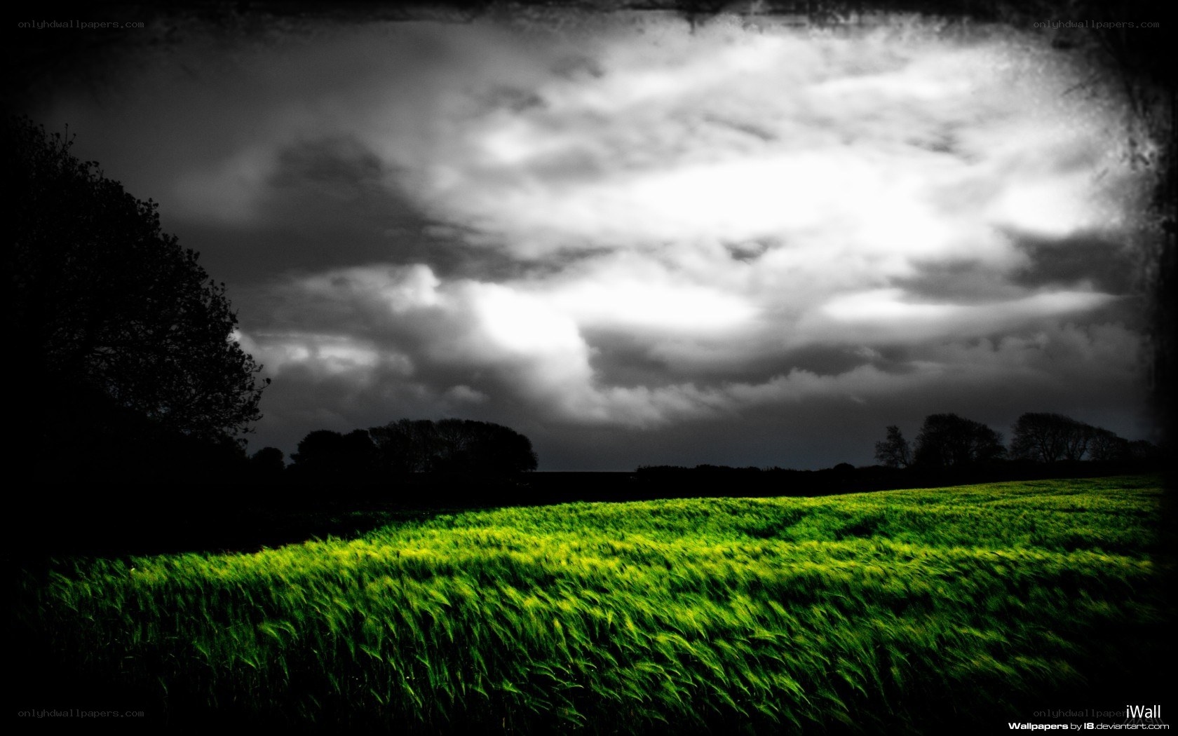 green field under stormy sky