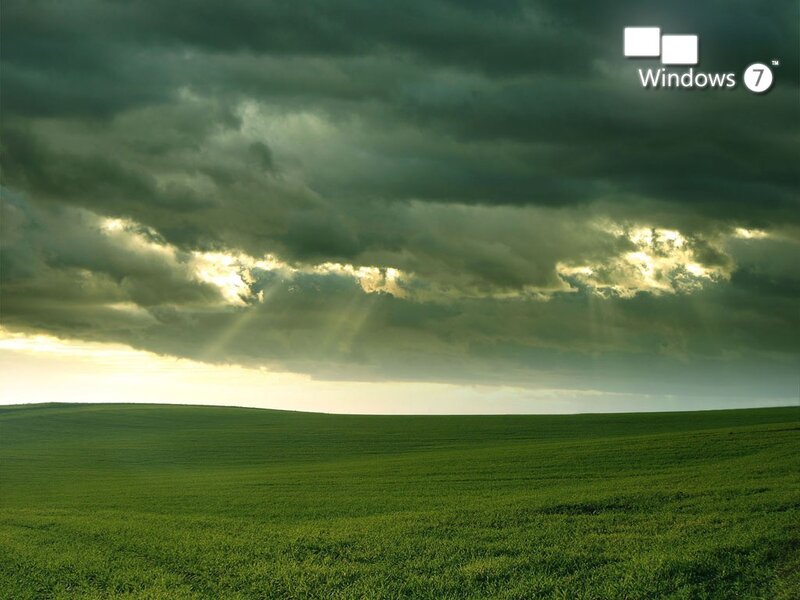 Green field under stormy sky