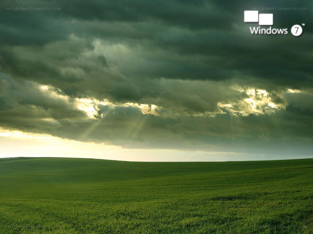 Green field under stormy sky