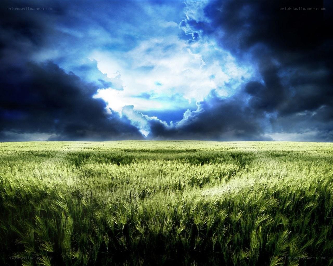 Green field under stormy sky
