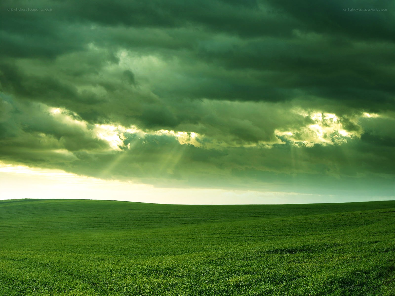 Green field under stormy sky