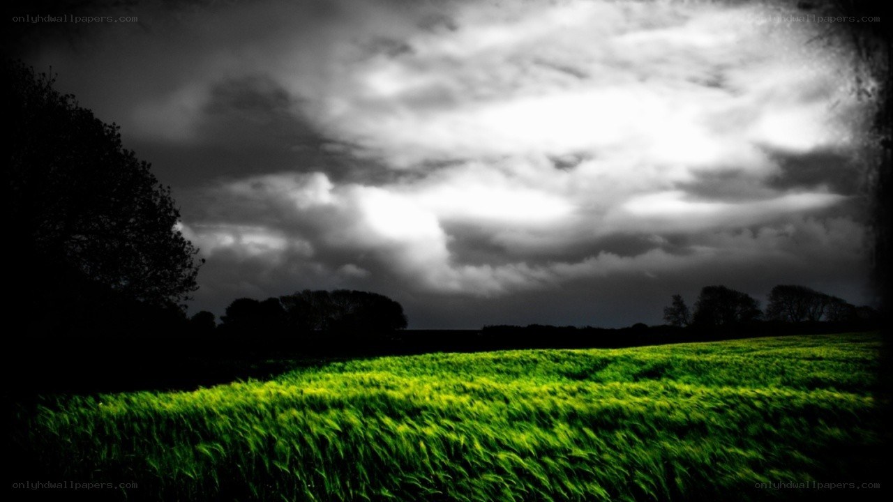 Green field under stormy sky