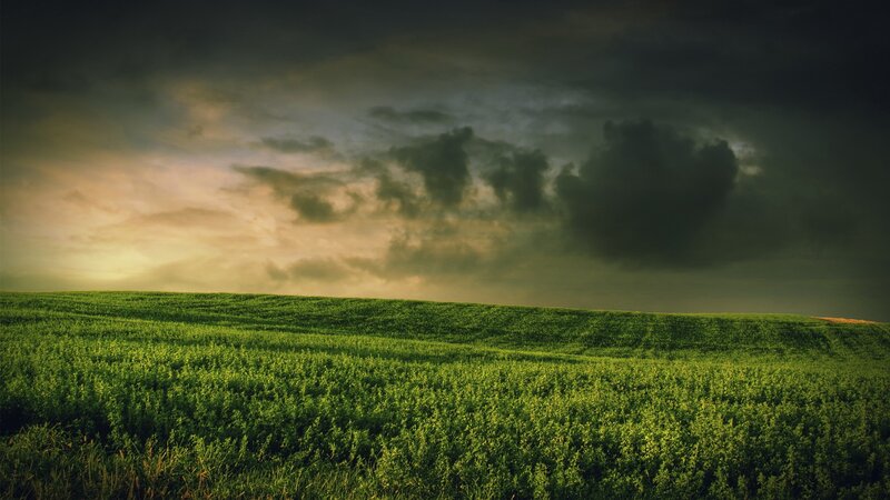 Green field under stormy sky