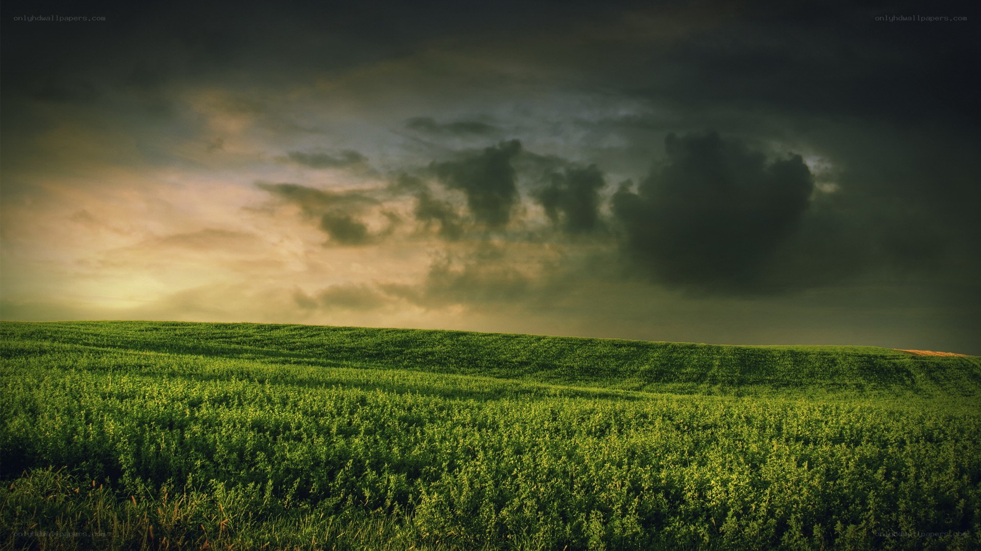Green field under stormy sky