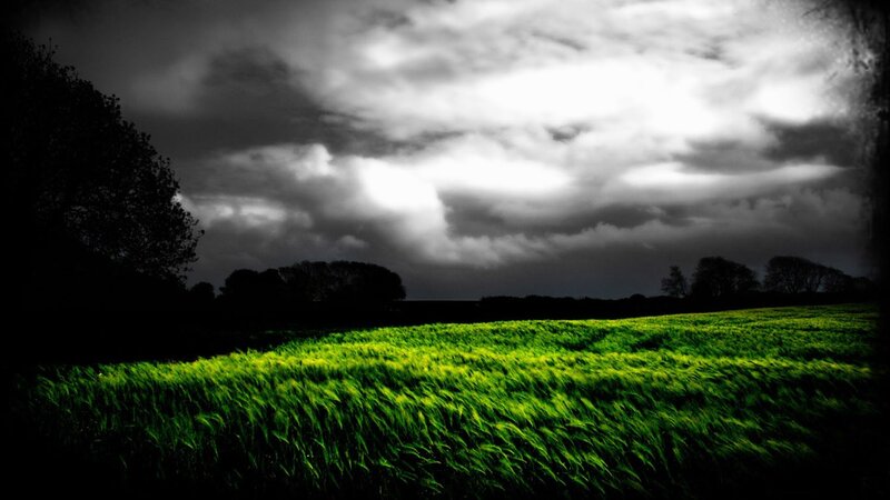 Green field under stormy sky