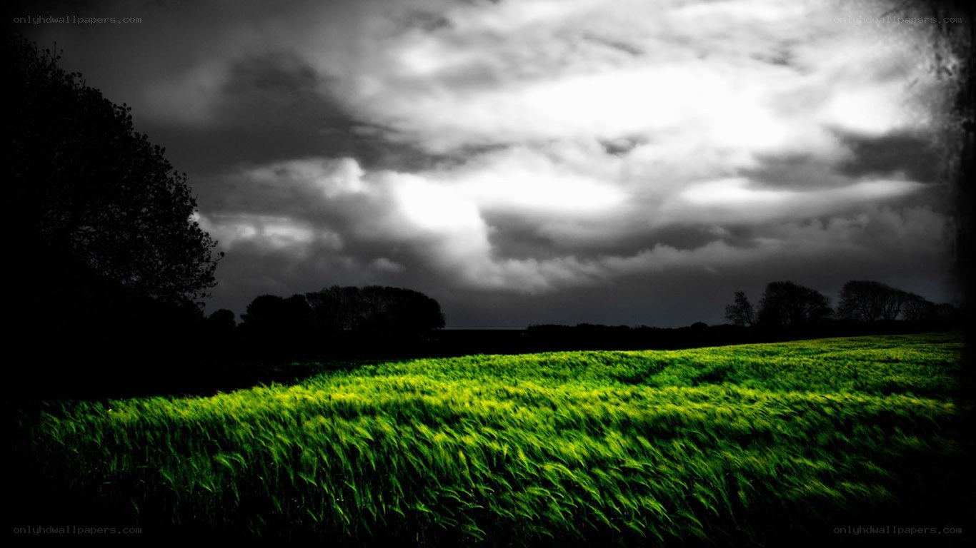 Green field under stormy sky