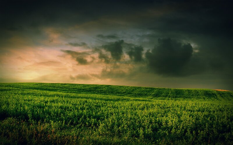 Green field under stormy sky