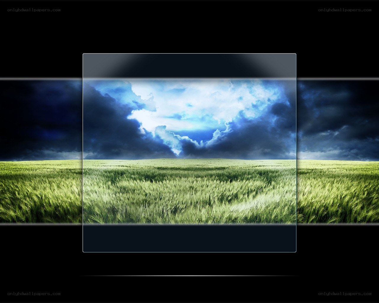 Green field under stormy sky