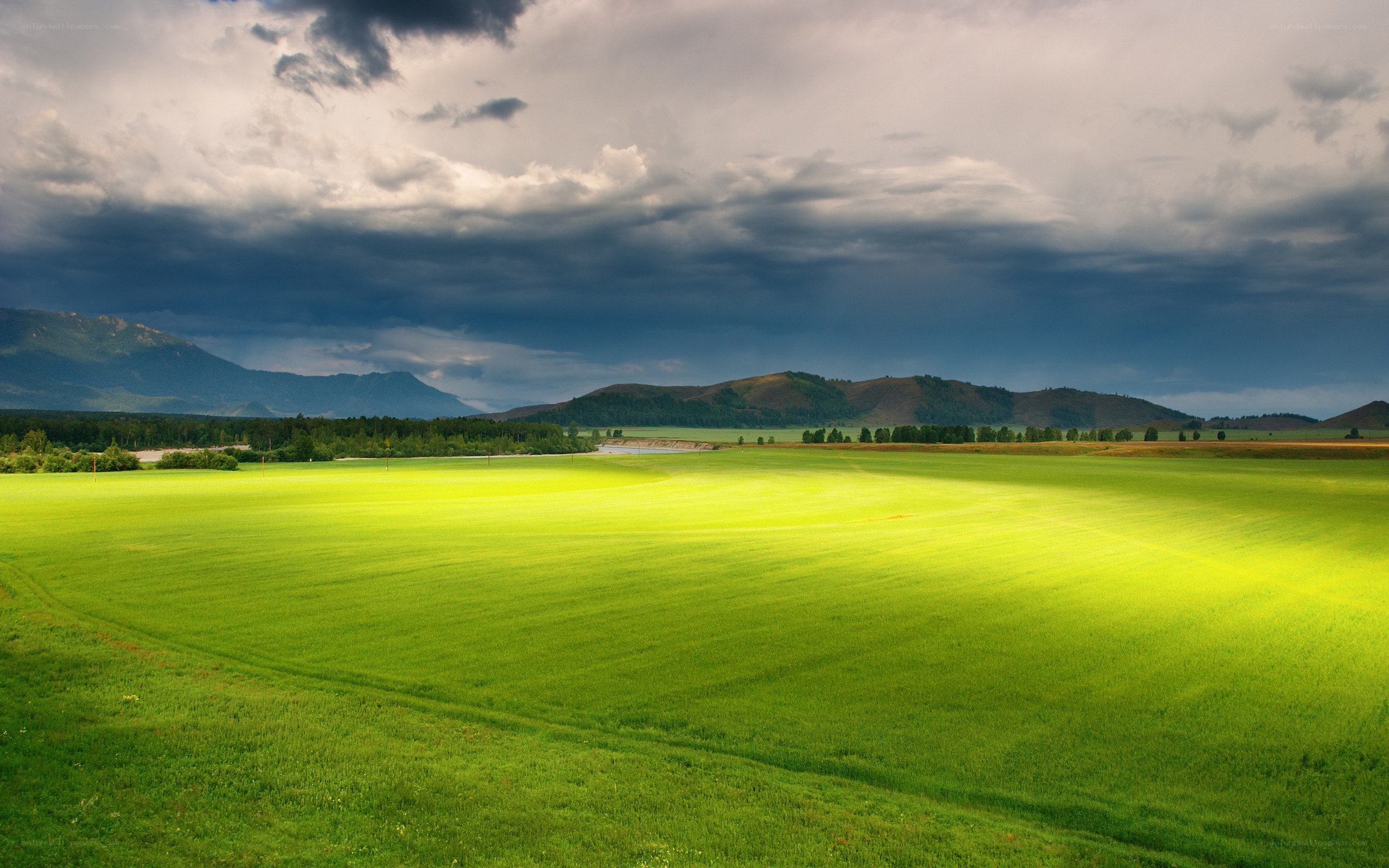 Green field under stormy sky