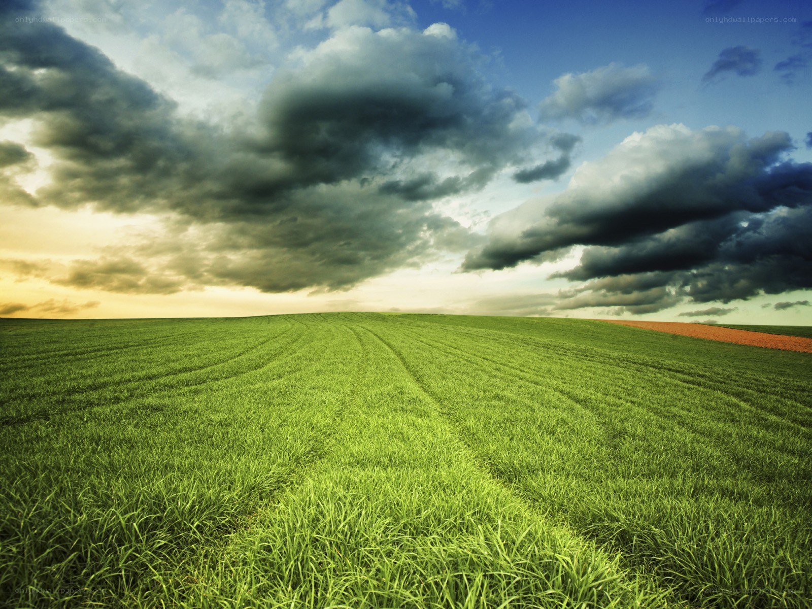 Green field under stormy sky