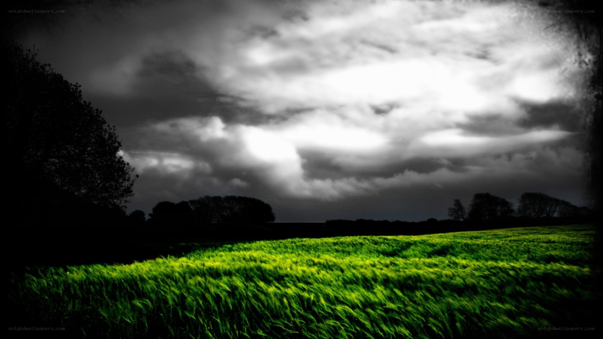 Green field under stormy sky
