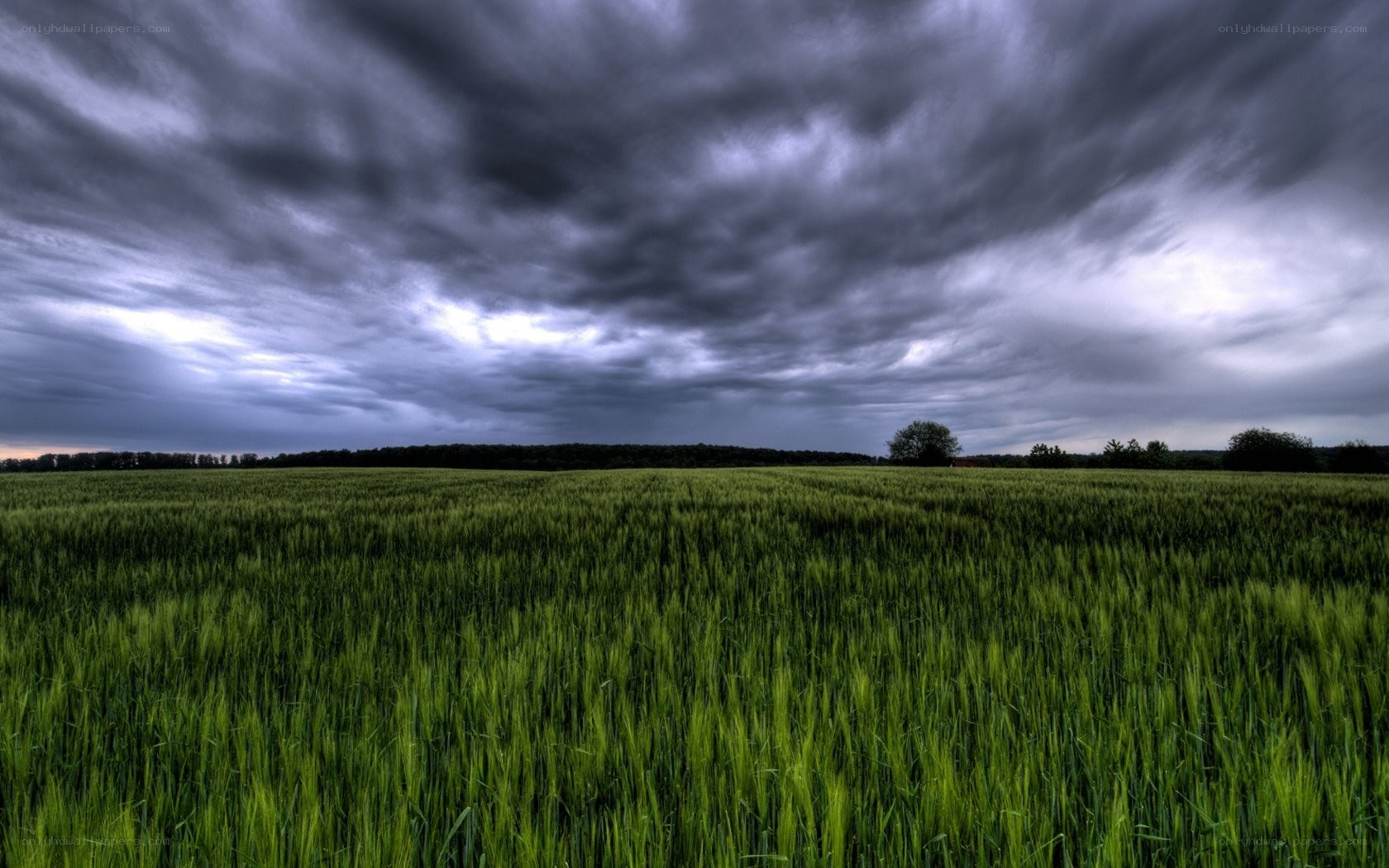 Green field under stormy sky
