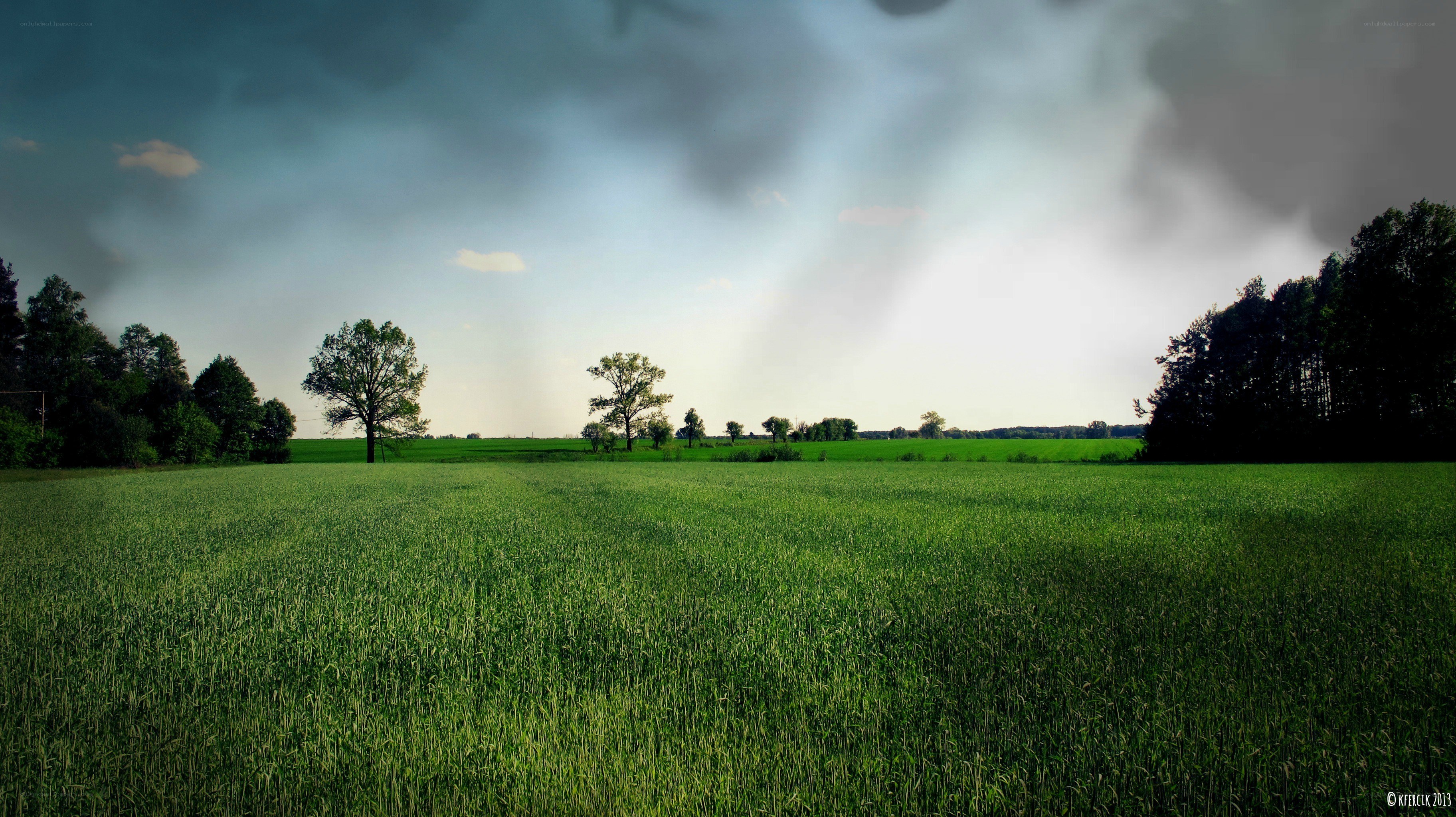 Green field under stormy sky