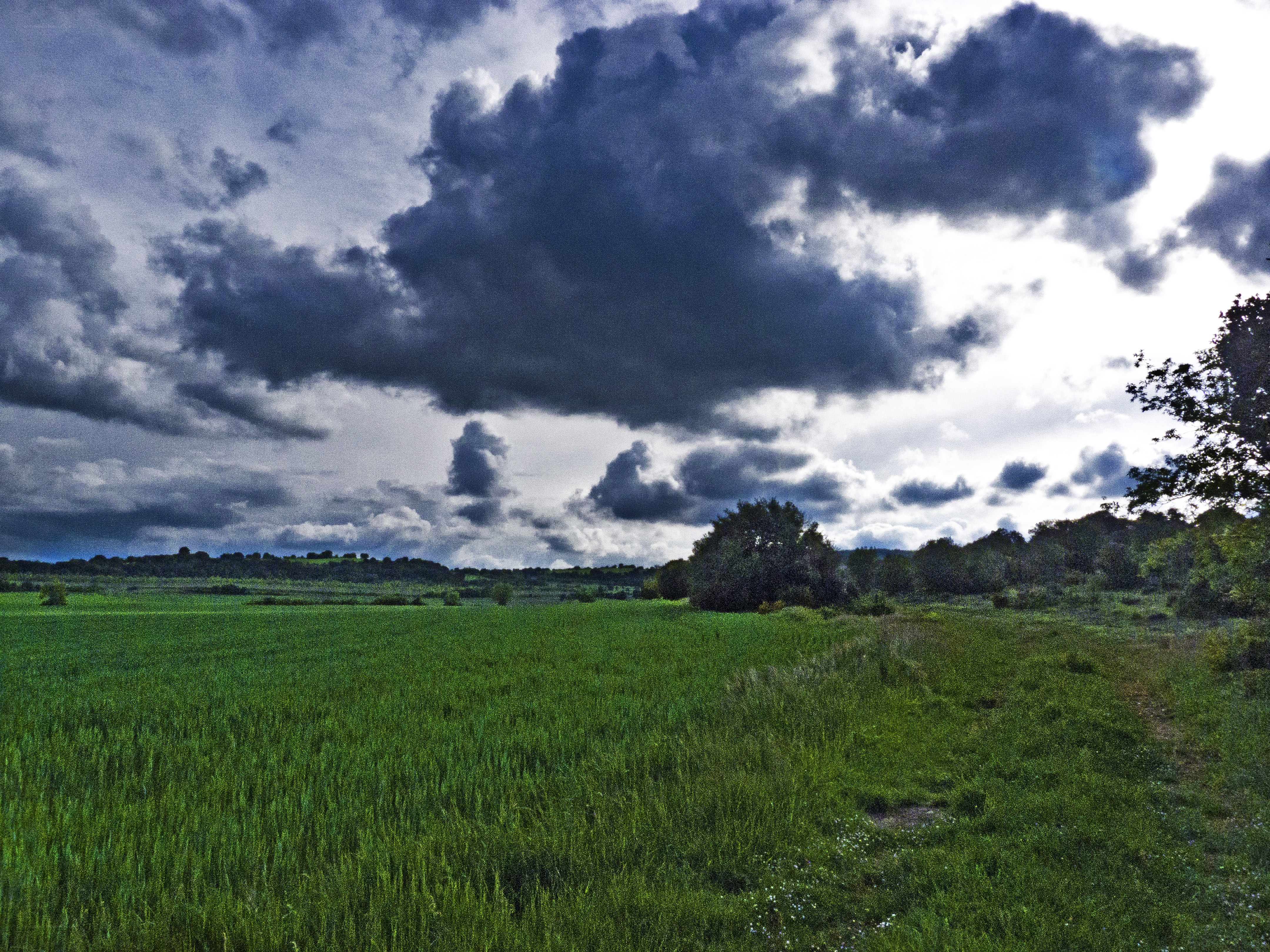 Green field under stormy sky