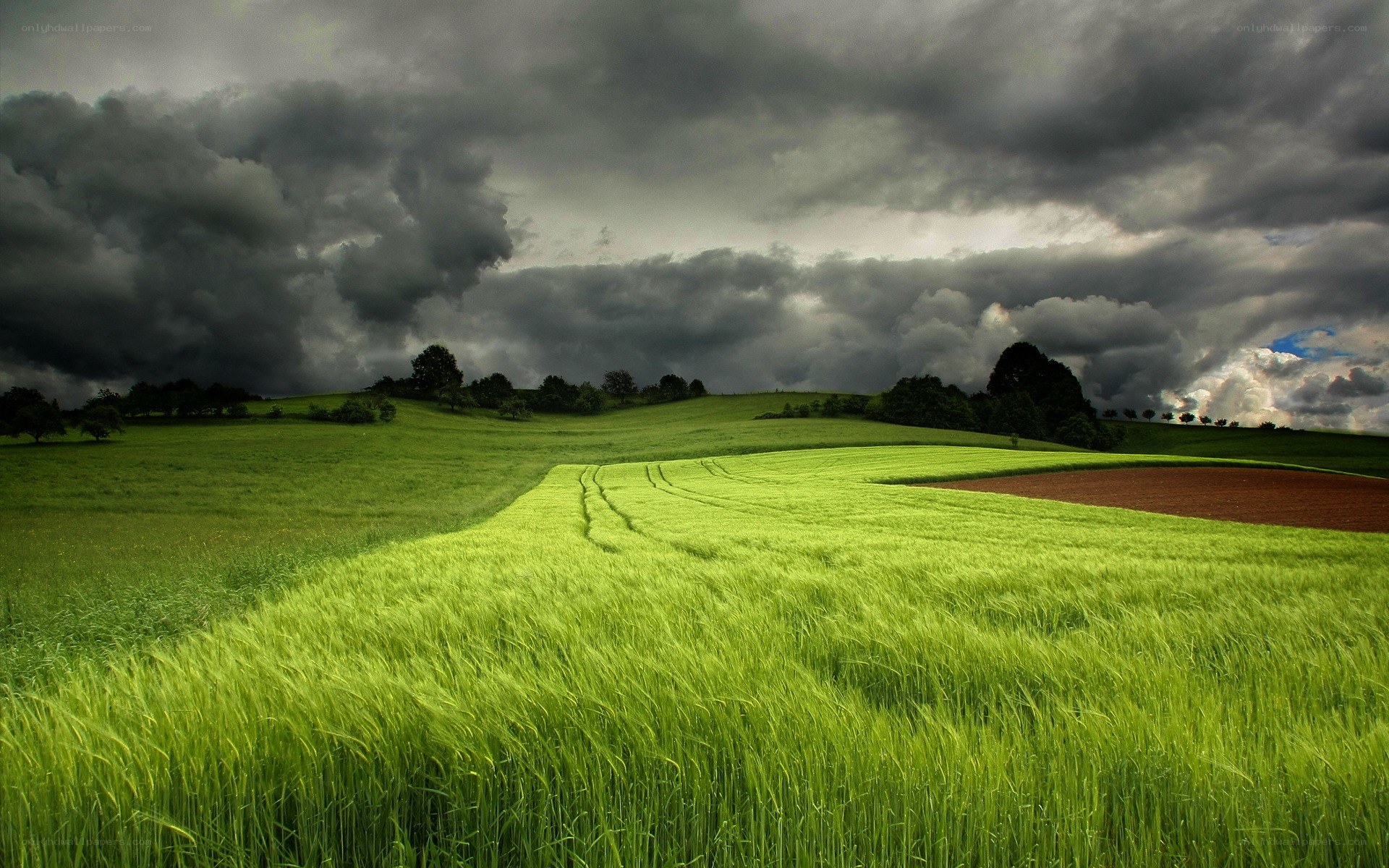 Green field under stormy sky